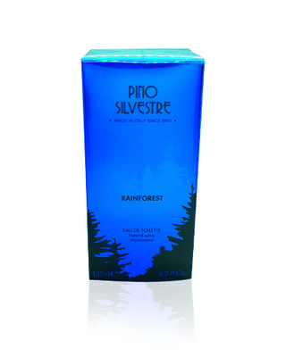 Pino Silvestre Rainforest