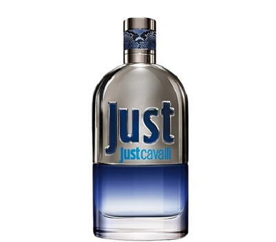 Roberto Cavalli Just Cavalli 2013 Eau de Toilette For Men