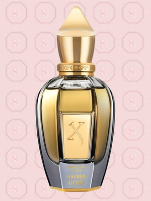 Xerjoff Amber Gold Unisex Eau de Parfum